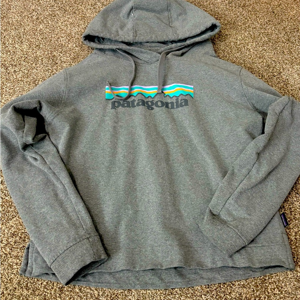 Kids Patagonia hoodie Size Child Small; fits like a medium. Excellent condition